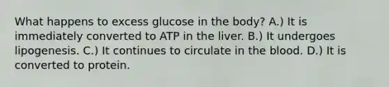 What happens to excess glucose in the body? A.) It is immediately converted to ATP in the liver. B.) It undergoes lipogenesis. C.) It continues to circulate in <a href='https://www.questionai.com/knowledge/k7oXMfj7lk-the-blood' class='anchor-knowledge'>the blood</a>. D.) It is converted to protein.