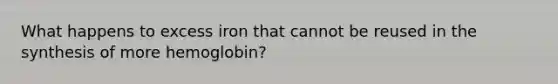 What happens to excess iron that cannot be reused in the synthesis of more hemoglobin?