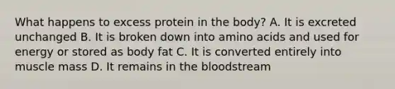 What happens to excess protein in the body? A. It is excreted unchanged B. It is broken down into amino acids and used for energy or stored as body fat C. It is converted entirely into muscle mass D. It remains in the bloodstream