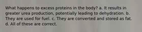 What happens to excess proteins in the body? a. It results in greater urea production, potentially leading to dehydration. b. They are used for fuel. c. They are converted and stored as fat. d. All of these are correct.