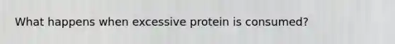 What happens when excessive protein is consumed?