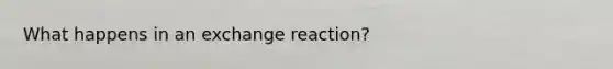 What happens in an exchange reaction?