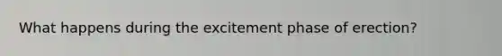 What happens during the excitement phase of erection?