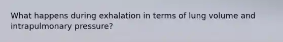What happens during exhalation in terms of lung volume and intrapulmonary pressure?