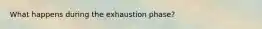 What happens during the exhaustion phase?