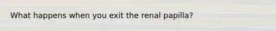 What happens when you exit the renal papilla?