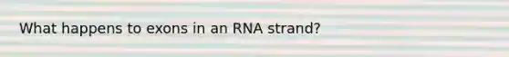 What happens to exons in an RNA strand?