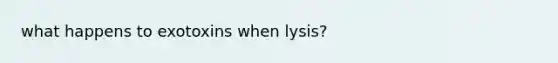 what happens to exotoxins when lysis?