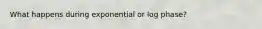 What happens during exponential or log phase?