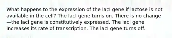 What happens to the expression of the lacI gene if lactose is not available in the cell? The lacI gene turns on. There is no change—the lacI gene is constitutively expressed. The lacI gene increases its rate of transcription. The lacI gene turns off.