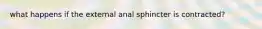 what happens if the external anal sphincter is contracted?