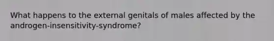 What happens to the external genitals of males affected by the androgen-insensitivity-syndrome?