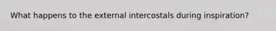 What happens to the external intercostals during inspiration?