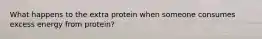 What happens to the extra protein when someone consumes excess energy from protein?