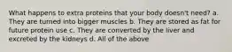 What happens to extra proteins that your body doesn't need? a. They are turned into bigger muscles b. They are stored as fat for future protein use c. They are converted by the liver and excreted by the kidneys d. All of the above