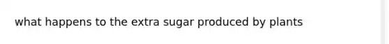 what happens to the extra sugar produced by plants