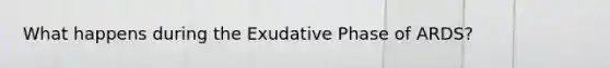 What happens during the Exudative Phase of ARDS?