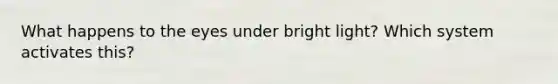 What happens to the eyes under bright light? Which system activates this?