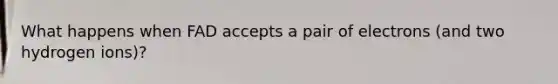 What happens when FAD accepts a pair of electrons (and two hydrogen ions)?
