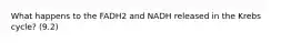 What happens to the FADH2 and NADH released in the Krebs cycle? (9.2)