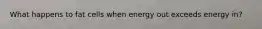 What happens to fat cells when energy out exceeds energy in?