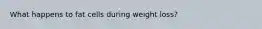 What happens to fat cells during weight loss?