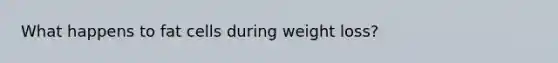 What happens to fat cells during weight loss?