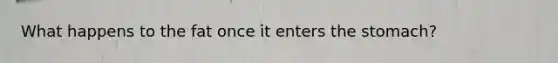 What happens to the fat once it enters the stomach?