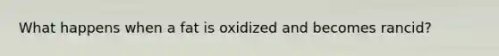 What happens when a fat is oxidized and becomes rancid?