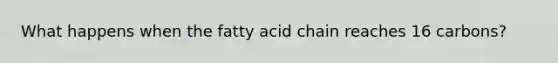 What happens when the fatty acid chain reaches 16 carbons?