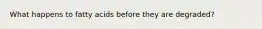 What happens to fatty acids before they are degraded?