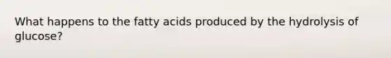 What happens to the fatty acids produced by the hydrolysis of glucose?