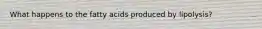 What happens to the fatty acids produced by lipolysis?