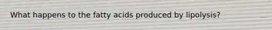 What happens to the fatty acids produced by lipolysis?