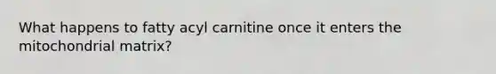 What happens to fatty acyl carnitine once it enters the mitochondrial matrix?