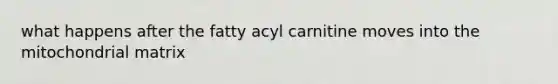 what happens after the fatty acyl carnitine moves into the mitochondrial matrix