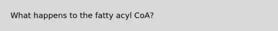 What happens to the fatty acyl CoA?