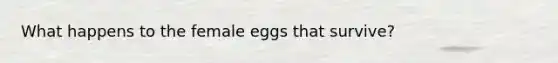 What happens to the female eggs that survive?