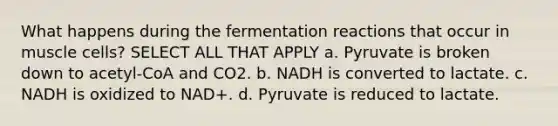 What happens during the fermentation reactions that occur in muscle cells? SELECT ALL THAT APPLY a. Pyruvate is broken down to acetyl-CoA and CO2. b. NADH is converted to lactate. c. NADH is oxidized to NAD+. d. Pyruvate is reduced to lactate.