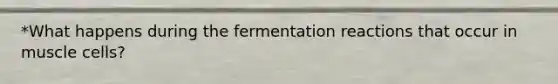 *What happens during the fermentation reactions that occur in muscle cells?