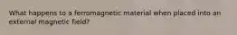 What happens to a ferromagnetic material when placed into an external magnetic field?