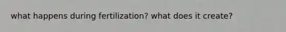 what happens during fertilization? what does it create?