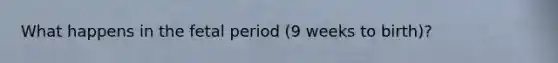 What happens in the fetal period (9 weeks to birth)?