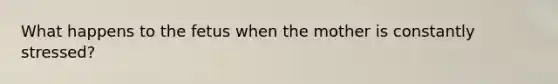 What happens to the fetus when the mother is constantly stressed?