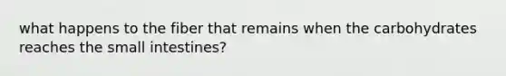 what happens to the fiber that remains when the carbohydrates reaches the small intestines?