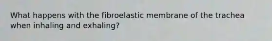 What happens with the fibroelastic membrane of the trachea when inhaling and exhaling?