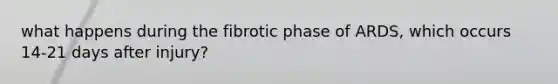 what happens during the fibrotic phase of ARDS, which occurs 14-21 days after injury?