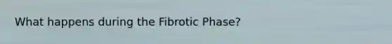 What happens during the Fibrotic Phase?