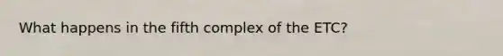 What happens in the fifth complex of the ETC?