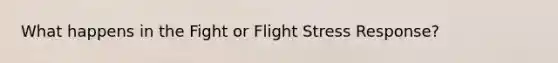 What happens in the Fight or Flight Stress Response?